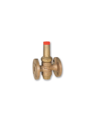 Riduttori di pressione con tazza filtro in bronzo per applicazioni industriali Resideo BraukmannD16-15A