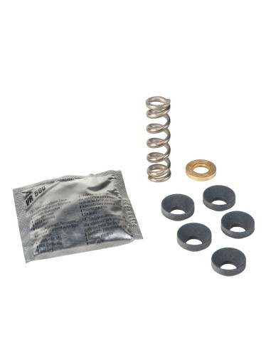 Kit guarnizioni e molla DN100-DN150 Resideo Braukmann - ASV-PAC-4