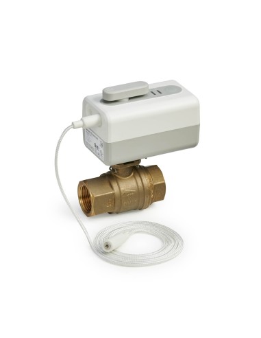 Valvola a sfera di isolamento automatico acqua 1" Resideo Honeywell Home - WS02Y025E