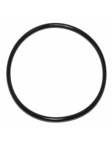 O-ring per camera filtro per F76S-F, DN 80 Resideo Braukmann - 2505300